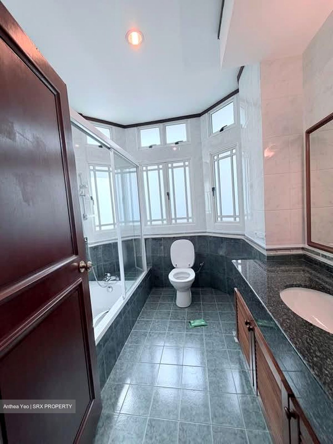 Holland Green (D10), Detached #577166321